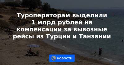 Туроператорам выделили 1 млрд рублей на компенсации за вывозные рейсы из Турции и Танзании - news.mail.ru - Турция - респ. Алтай - Танзания