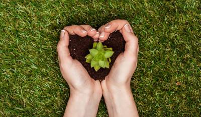 Эксперт: государство должно стимулировать реализацию «зеленых» проектов - naviny.by - Экология