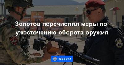 Виктор Золотов - Золотов перечислил меры по ужесточению оборота оружия - news.mail.ru