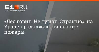 «Лес горит. Не тушат. Страшно»: на Урале продолжаются лесные пожары - e1.ru - Екатеринбург - Свердловская обл.