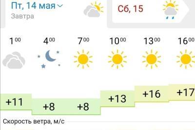 14 мая в Новосибирске ожидается теплая погода без осадков - novos.mk.ru - Новосибирск