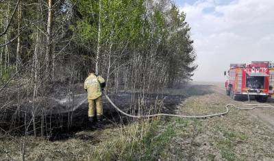 В Тюменской области число поджогов лесов увеличилось почти в два раза - nashgorod.ru - Тюменская обл. - Югра - окр. Янао