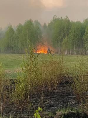 В Миассе, который страдает от природных пожаров, начнут выводить из леса туристов - znak.com - Челябинская обл. - Экология