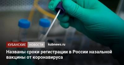 Александр Гинцбург - Названы сроки регистрации в России назальной вакцины от коронавируса - kubnews.ru - Краснодарский край