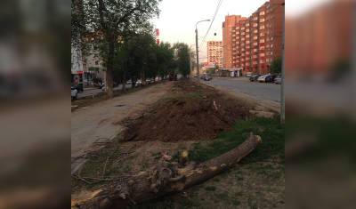 «Решили прикончить». В Уфе на бульваре Ибрагимова проводят вырубку деревьев - mkset.ru - Уфа
