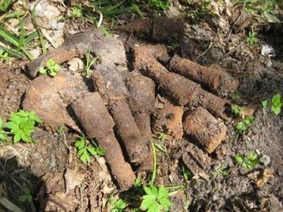 В Смоленской области за день уничтожили более 80 боеприпасов - rabochy-put.ru - Смоленская обл. - район Ярцевский