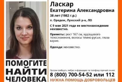 За убийство врача в Оредеже задержан ее бывший супруг – он сбросил труп в очистные - ivbg.ru