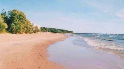 Этим летом в Ленобласти будут открыты около 45 пляжей - delovoe.tv - Ленинградская обл. - Санкт-Петербург