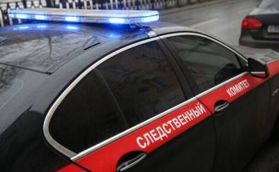 Алексей Меркушкин - СК задержал бывшего заместителя председателя правительства Мордовии Алексея Меркушкина по подозрению в даче взятки - echo.msk.ru - Минск - Самарская обл. - республика Мордовия