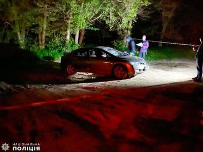 Война за землю на Николаевщине: разборки между крестьянами завершились стрельбой - 24tv.ua - Киев