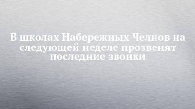Сергей Кравцов - В школах Набережных Челнов на следующей неделе прозвенят последние звонки - chelny-izvest.ru - Набережные Челны - Казань