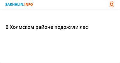 В Холмском районе подожгли лес - sakhalin.info