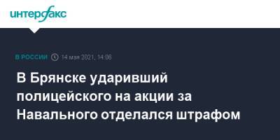 Алексей Навальный - В Брянске ударивший полицейского на акции за Навального отделался штрафом - interfax.ru - Москва - Брянск