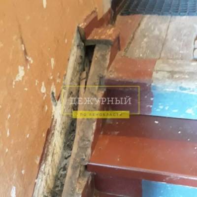 В Красном Бору жители барака просят признать их дом аварийным - ivbg.ru - Ленинградская обл.