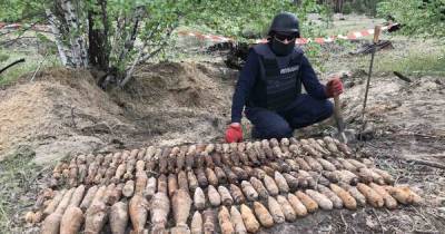 В Донецкой области в лесу нашли почти полтысячи старых боеприпасов - dsnews.ua - Донецкая обл. - Гсчс