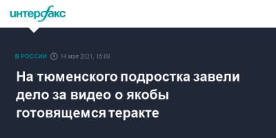 На тюменского подростка завели дело за видео о якобы готовящемся теракте - interfax.ru - Москва - Тюмень