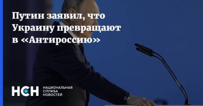 Владимир Путин - Путин заявил, что Украину превращают в «Антироссию» - nsn.fm - Россия - Украина - Запад