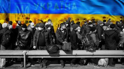 Украинцы массово покидают страну в поисках работы и лучшей жизни - newinform.com - Украина - Житомир