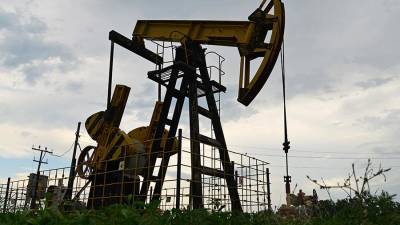 «Роснефть» опубликовала производственные результаты за I квартал 2021 года - iz.ru
