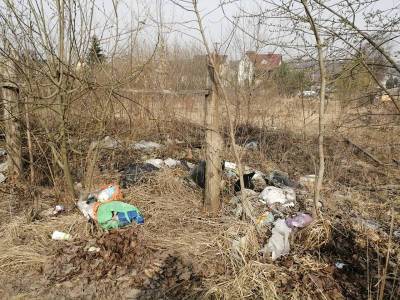 В Смоленске ликвидируют очередную свалку - rabochy-put.ru - Смоленск - Смоленская обл.