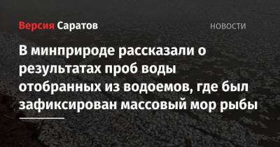 В минприроде рассказали о результатах отобранных проб из водоемов, где был зафиксирован массовый мор рыбы - nversia.ru - Саратовская обл. - Саратов - район Федоровский - Экология