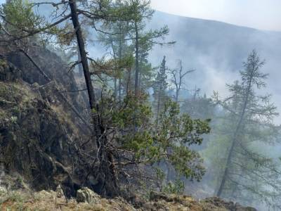 В одном из районов Башкирии бушуют пожары в лесах - ufacitynews.ru - Башкирия - район Белорецкий