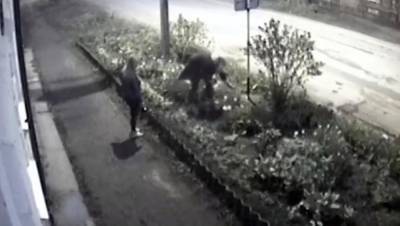 Хулиганки, оборвавшие клумбу в Осташкове Тверской области, попали на видео - afanasy.biz - Тверская обл. - Благоустройство