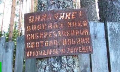 И так сойдет: нижегородским сиротам построили дома на скотомогильнике без газа и дорог - bloknot.ru - Нижегородская обл.