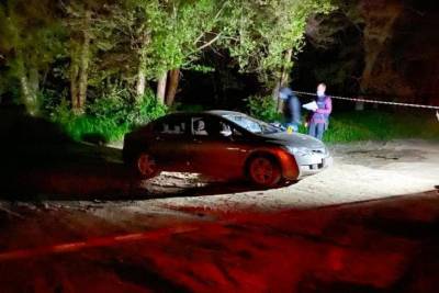 Кровавые разборки на Николаевщине: двоим мужчинам прострелили ноги из-за земли - rupor.info - Николаевская обл.