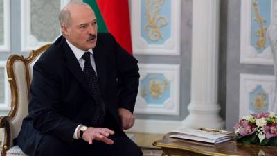 Александр Лукашенко - Лукашенко торговался с белорусским фермером и пытался выменять телочку - polit.info - Белоруссия