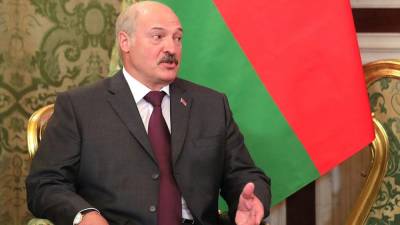 Лукашенко - Белорусский фермер показал Лукашенко свою телочку - newinform.com - Белоруссия