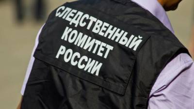 Алексей Меркушкин - Суд арестовал бывшего вице-губернатора Мордовии Меркушкина на два месяца - piter.tv - Саранск - республика Мордовия