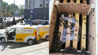 В Укрпочте ожили пчелы, но отправитель отказывается их забирать - 24tv.ua