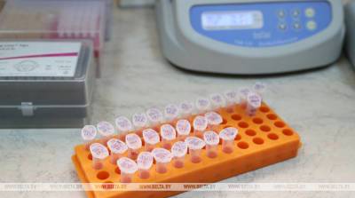 В Гродно судебные эксперты помогли установить отцовство умершего - belta.by