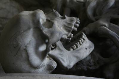 Скелет мужчины нашли в лесу возле заправки под Новосибирском - novos.mk.ru - Новосибирск - Новосибирская обл. - район Мошковский