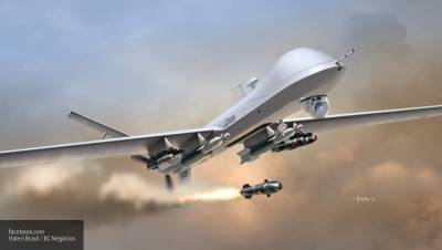 США объявили о первом размещении высотных БПЛА Triton на территории Японии - politros.com - Токио - Япония