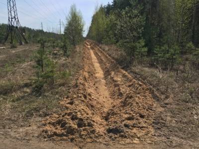 Защитные противопожарные полосы проложили в нижегородских лесах - vgoroden.ru