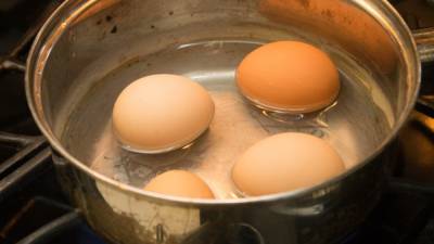 Диетолог рассказала об опасности использования яиц в качестве завтрака - newinform.com
