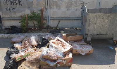 В Тюмени около контейнерной площадки на Комсомольской решили утилизировать биоотходы - nashgorod.ru - Тюмень
