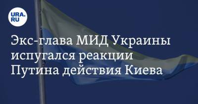 Виктор Медведчук - Павел Климкин - Экс-глава МИД Украины испугался реакции Путина действия Киева - ura.news - Москва - Киев