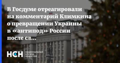 Владимир Путин - Руслан Бальбек - Павел Климкин - В Госдуме отреагировали на комментарий Климкина о превращении Украины в «антипод» России после слов Путина - nsn.fm - Украина