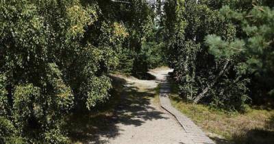 В Гурьевском районе нашли мёртвой 35-летнюю женщину, которая уехала на авто и пропала - klops.ru - Калининградская обл.
