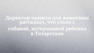 Директор приюта для животных рассказал, что стало с собакой, истерзавшей ребенка в Татарстане - chelny-izvest.ru - респ. Татарстан