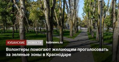 Волонтеры помогают желающим проголосовать за зеленые зоны в Краснодаре - kubnews.ru - Краснодарский край - Краснодар - Благоустройство