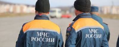 Радий Хабиров - В пяти районах Башкирии ввели режим ЧС из-за шелкопряда - runews24.ru - Башкирия