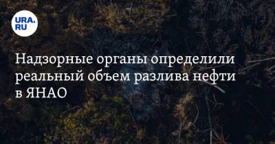 Светлана Радионова - Надзорные органы определили реальный объем разлива нефти в ЯНАО - ura.news - окр. Янао - район Пуровский