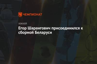 Егор Шарангович - Егор Шарангович присоединился к сборной Беларуси - championat.com - Англия - Швейцария - Швеция - Рига - Дания - Минск - шт.Нью-Джерси - Словакия