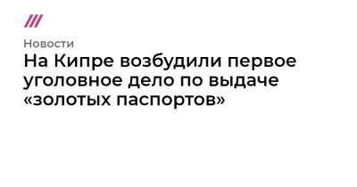 На Кипре возбудили первое уголовное дело по выдаче «золотых паспортов» - tvrain.ru - Иран - Кипр