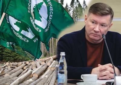 Андрей Нагибин - Новый лидер партии «Зелёные» объявил о борьбе с незаконными свалками и вырубкой лесов - mskgazeta.ru - Москва - Экология