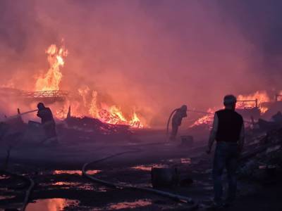 В Екатеринбурге выясняют причины пожара, уничтожившего 16 садовых домов и пилораму - znak.com - Екатеринбург